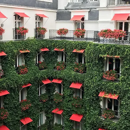 מלון Plaza Athenee - Dorchester Collection