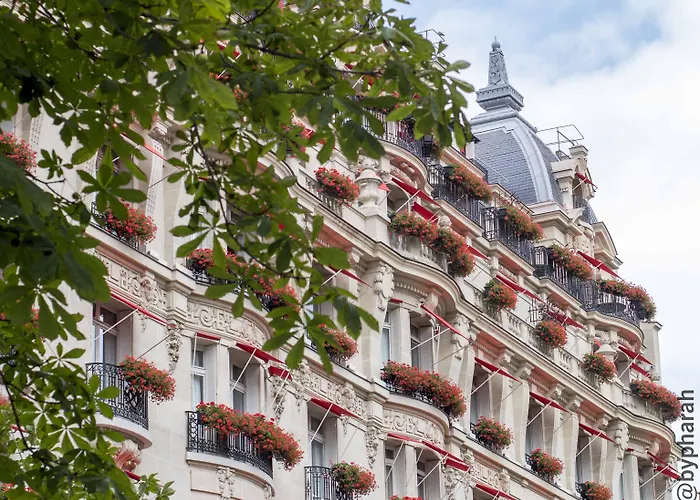 Hotel Plaza Athenee - Dorchester Collection